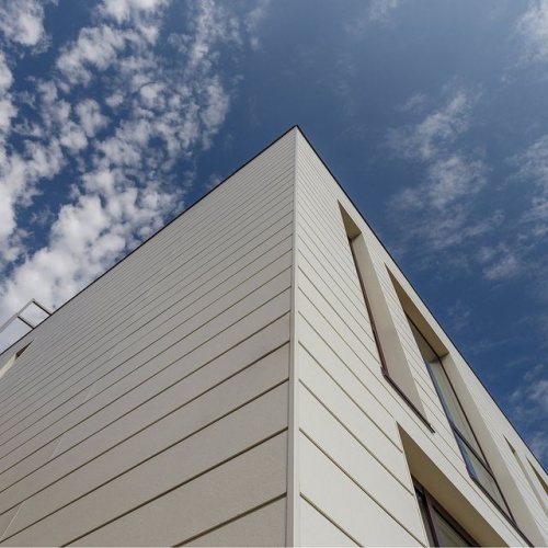 Сайдинг CEDRAL smooth (гладкий) С53